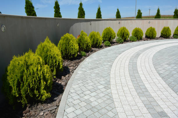 Best Decorative Driveway Pavers  in Elkhorn City, KY